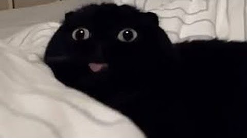 piggy characters react to ships✨//Warning ⚠️:cursers 😈💣//read description