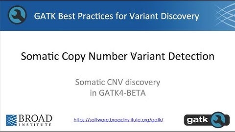 12. Somatic Copy Number Variant Detection