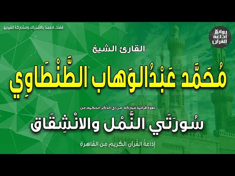 الشيخ محمد عبدالوهاب الطنطاوي النمل والانشقاق إذاعة القرآن 