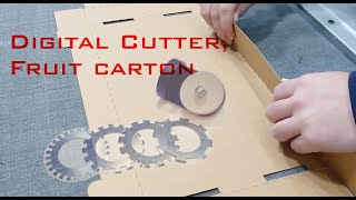 Digital Cutting with Perforating Tool to Make Fruit Carton