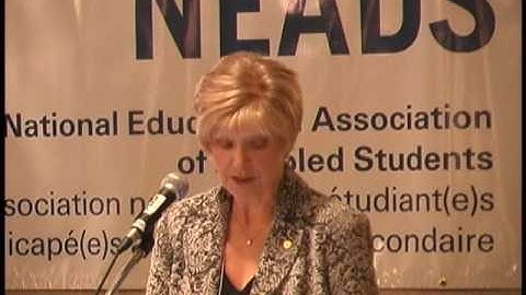 Strategies for Success: A Practical Perspective on the Transition from School to Work