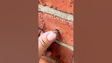 Easy to use extended expansion screws #tools