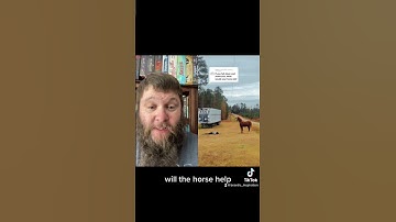 Horsing around! #ttrpg #beggartok #osr #dungeonmaster #gamemaster #opendnd #game #players #dice