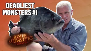 Deadliest Monsters #1 | COMPILATION | River Monsters