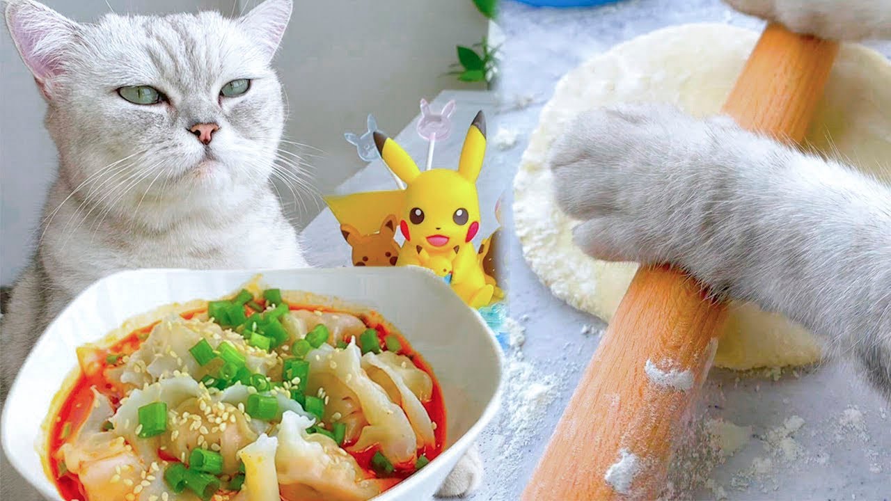 Кулинария для кошек. Кошка Noodles. Швейцария кошки кулинария. Cat Noodle and bun. Cooking cat