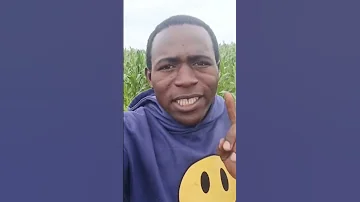 Azuma Ni Dawa Ya Malaria 