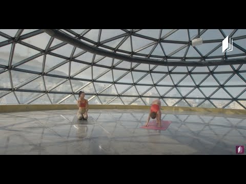 იოგა - კატის პოზა და ლეკვის პოზა #ტელესკოლა