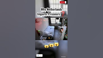 Why Netherlands Imports Prisoners❓ | #shorts #trendingshorts #viral | @WorldoPedia1.1M