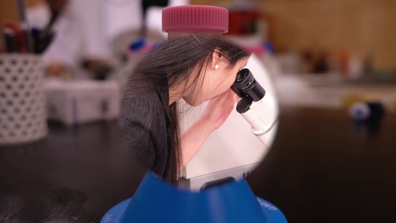 Nhà máy và quy trình sản xuất kem Lyym Beauty - YouTube