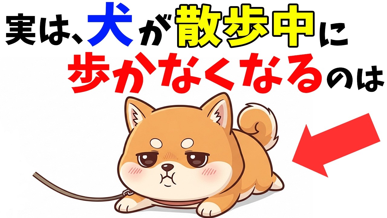 【知ってた？】9割が知らない犬の散歩の真実｜明日からできる散歩術