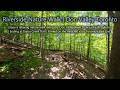 VR (360°) Walk of the West Don River &amp; Taylor Creek Trails | Toronto