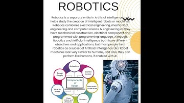 ARTICLE   VIDEO | SNS|