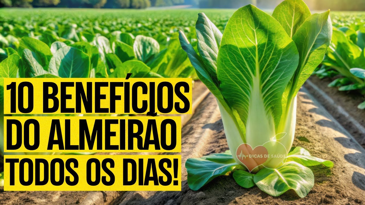 10 Benefícios do ALMEIRÃO: Para que Serve e Como Usar - TEM EFEITOS ...