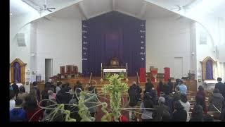 Chúa Nhật Lễ Lá - Ngày 29 Tháng 3 Năm 2026 -  8 AM