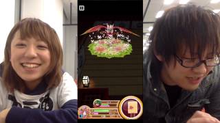 【白猫プロジェクト】レベル250ガルーダに、ウォリアーひとりで挑んでみた。ノーダメージクリアー【ノーカットバージョン】