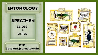 ENTOMOLOGY  SPECIMEN CARDS & SLIDES - DTP @thejunkjournalstudio #junkjournalideas #papercraft