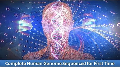 Complete Human Genome Sequenced for First Time