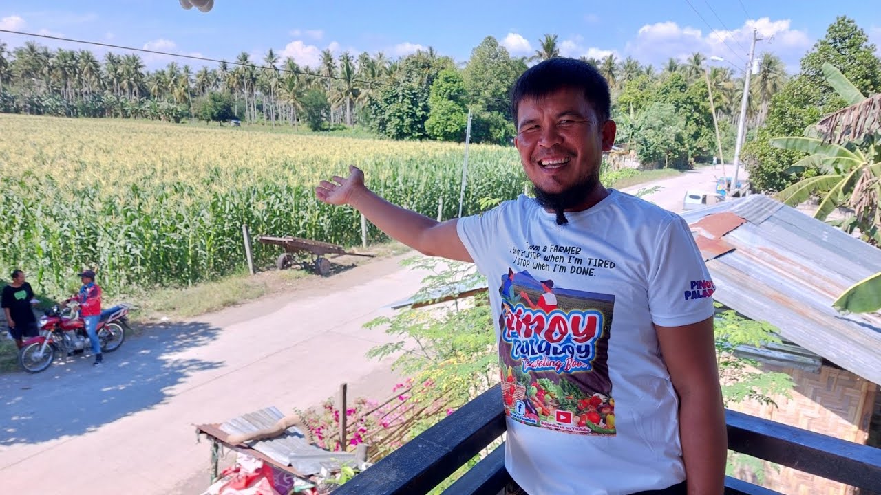 Nagbago ang Buhay at nakapag-patayo ng 2 story na Bahay dahil sa Sweetcorn Farming