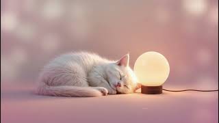 Mucze - Küçük Kalbim Miyav Diyor 🩷