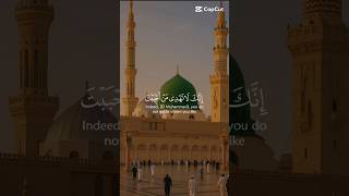 #islamvideo #islamicstoriesinurduandhindi #hazratalinefarmayaqayamatkinishaniyan