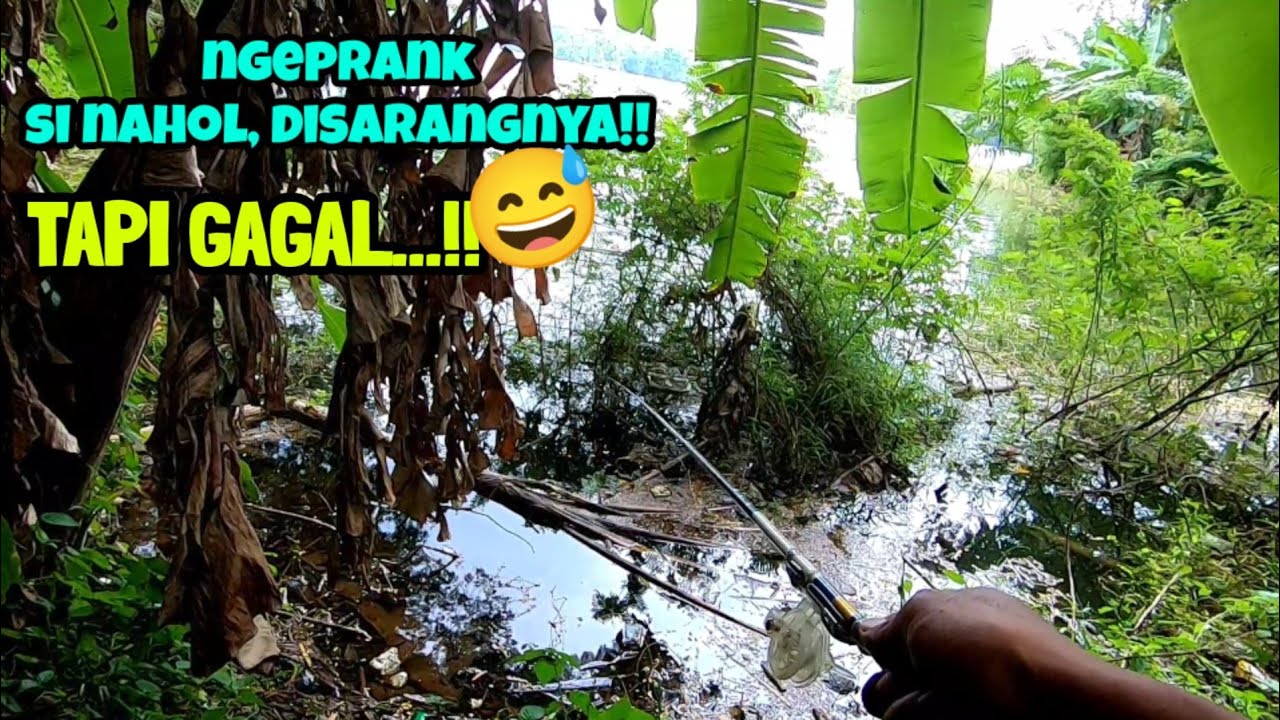 PAS IKAN LAGI RAKUS RAKUSNYA SAYA COBA UMPAN INI || mancing ikan red