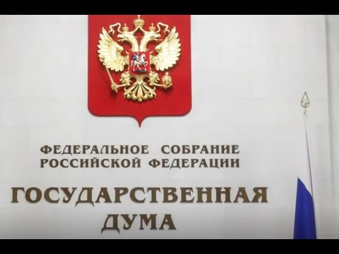 Новые люди: в чем главная задача малых партий в Госдуме РФ