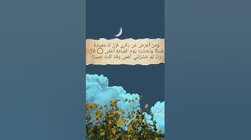 أجمل ما سمعت بصوت القارئ محمد حسين عامر ...رحمه الله تعالى.