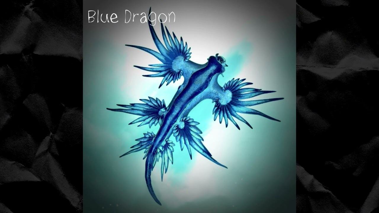 Blue Dragon