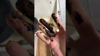 Nur mehr Pfuscher  Nicht jeder Installateur ist so, aber passt auf bei der Thermen Wartung !