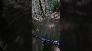 Mountain biking Humboldt California shorts