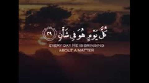 {كل من عليها فان} تلاوة خاشعة بصوت القارئ والشيخ اسلام صبحي❤🌹