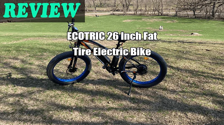 ECOTRIC 26 Inch Fat Tire Electric Bike - Review 2022