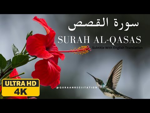 Beautiful Recitation Of Quran | Surah Al Qasas - 1-8 | Hani Al-Azony