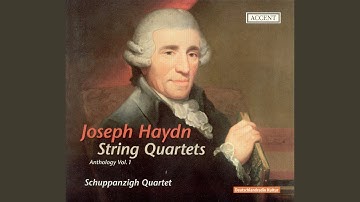 String Quartet in C Major, Op. 74 No. 1, Hob. III:72: II. Andantino grazioso