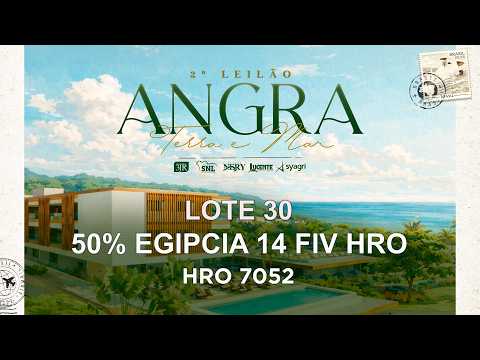 LOTE 30 - 50% EGIPCIA 14 FIV HRO   HRO 7052