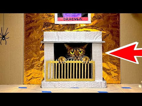 Видео: ДОМ ДРАКУЛЫ из картона для кошки 🐈 . ПОБЕГ из тюрьмы через ЛАБИРИНТ.