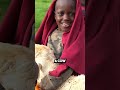 The Maasai Tribe of Tanzania 🇹🇿