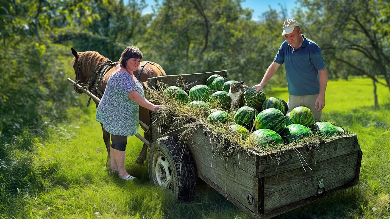Unusual Watermelon Recipes from Countryside Life