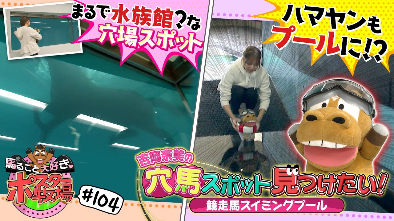 馬るごと大好き♡ポスター牧場　第１０４話「競走馬スイミングプール②」