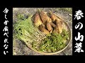 季節限定！春の山菜をメンバー全員で食べまくる！！