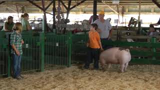 Kankakee County Fair - Swine - 2010