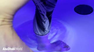 ADW Tries Point Zero Floation