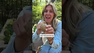 This Is One Of The Easiest Plants You Can Grow For Tons Of Harvestspotatoes