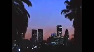 Boulevard Nights
