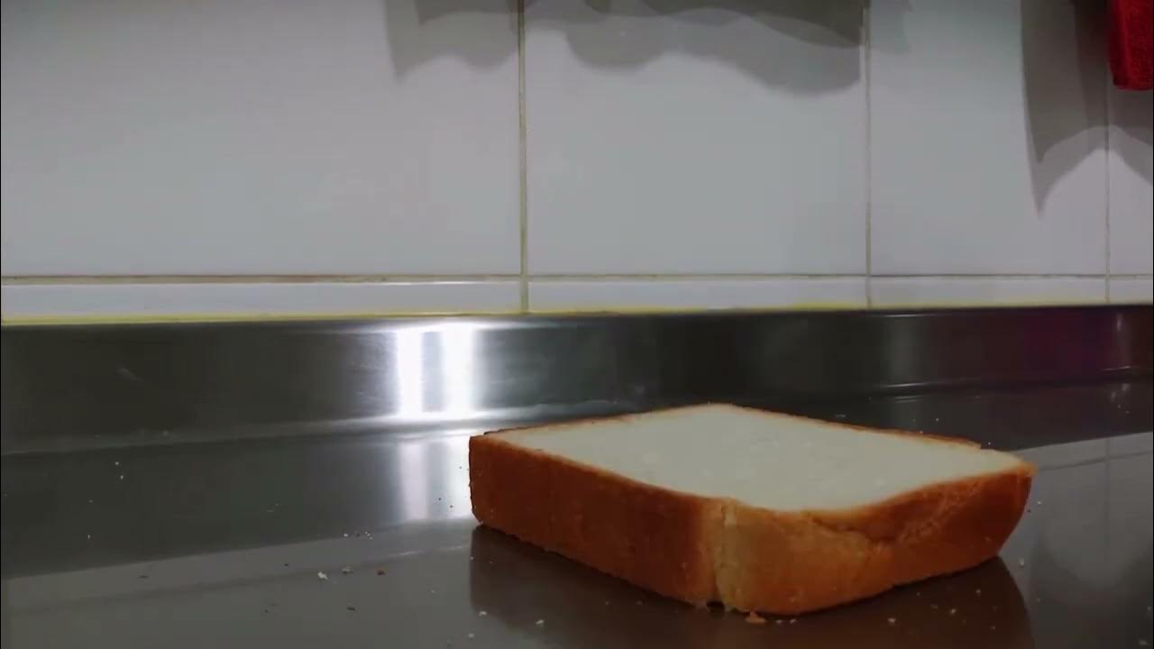Bread Falling Over YouTube