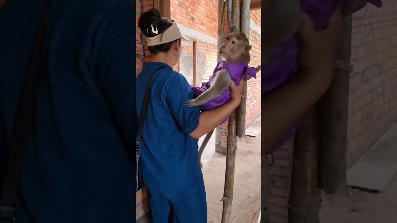 shally follow mom 🥰