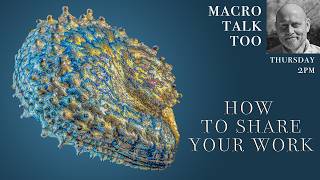 How to Show Your Work - Macro Talk Too #193 -  AWPhotography 5/21/26