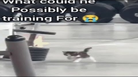 oh?! (27.567s Act 5 WR)