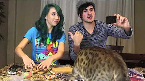 Anthony and Kalel (1234) *Fanmade Tribute Video*