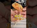 脱皮【てん】#フトアゴヒゲトカゲ #脱皮